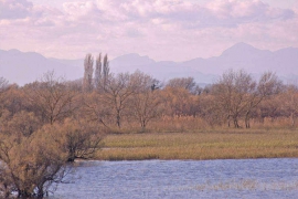 DSC_9386-A.jpg
