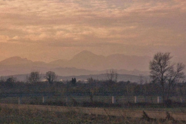 DSC_9455-A.jpg
