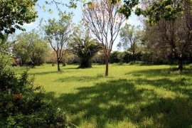 11jardi-a