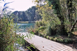 Banyoles_020-A.jpg