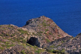 DSC_8272-A.jpg