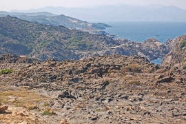DSC_8286-A.jpg