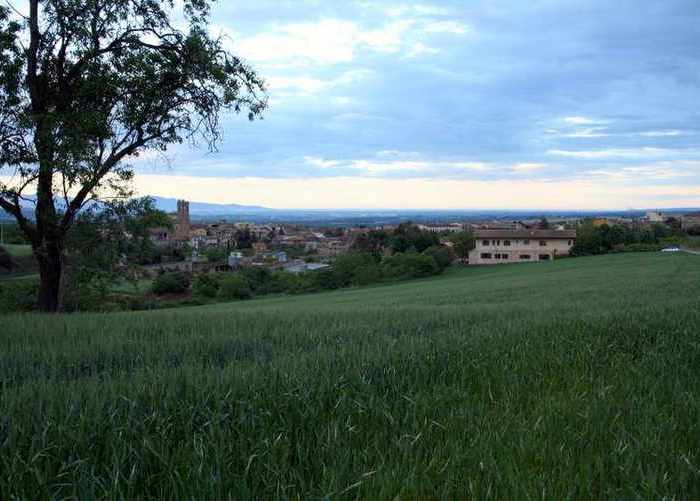 2-Llado-Mar-al-fons.jpg