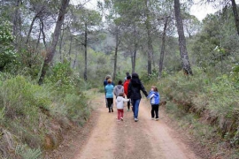 Camí-al-riu-small.jpg