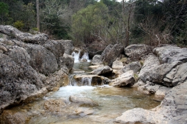 Riu Manol a Llado
