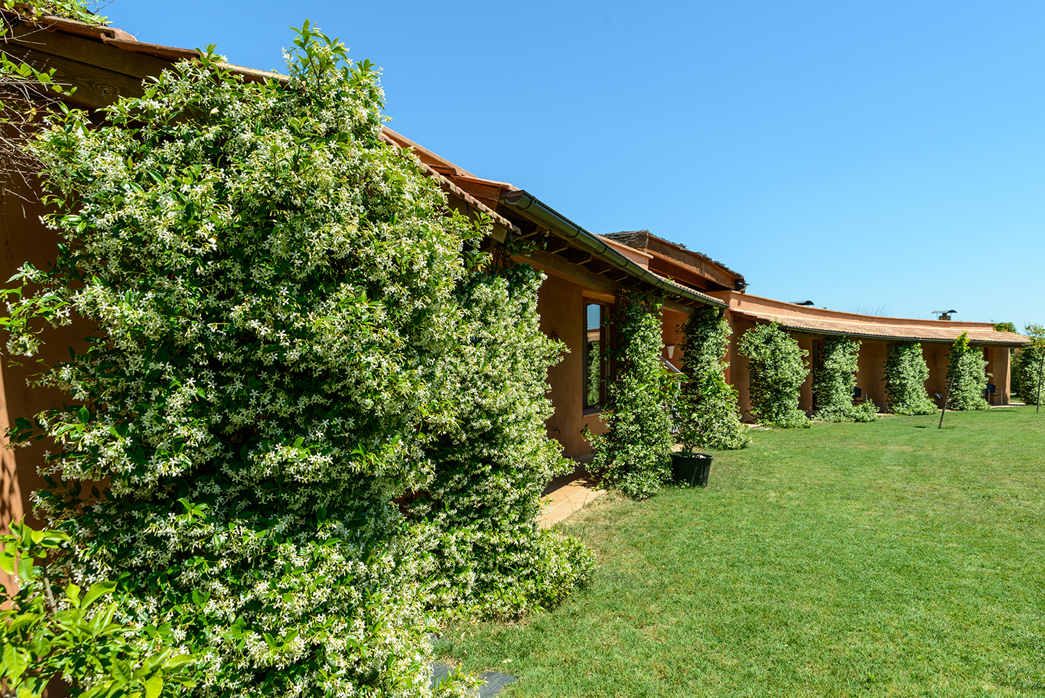 peredeprada-pdp_6834