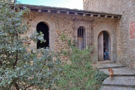 DSC_8767-A.jpg