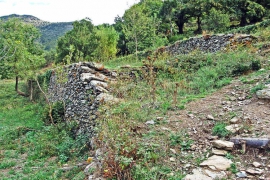 Sant Quirze de Colera