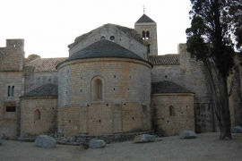 DSC_9135.JPG