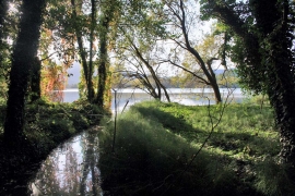 Banyoles