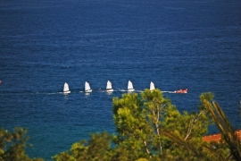 Barcos
