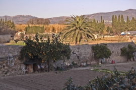 Castelló d'Empúries un jardín