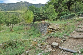 Los Antiguos Viñedos