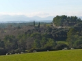 Els-camps2
