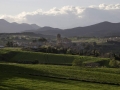Llado-jordi-puig1