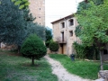 poblellado1