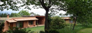 Las Maison