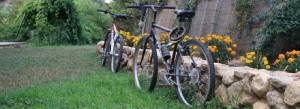 Deux vélos