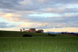 4LladóCamps1-001