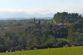 Le village et ses environs