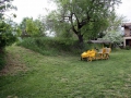 Le jardin