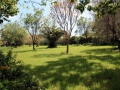 Le jardin