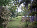 Le jardin