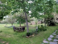 Le jardin