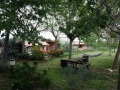 Le jardin