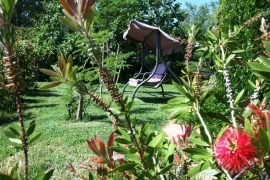 Flowers everywhere