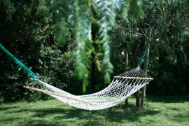 Hammock