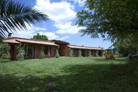 The front garden