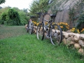 Le jardin