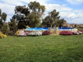 Le jardin