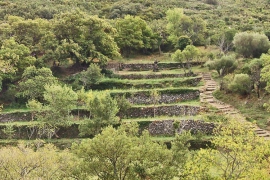 Sant Quirze de Colera