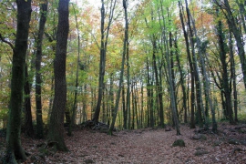 lafageda_zonavolcanica-2