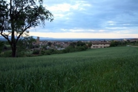 Llado Mar al Fons